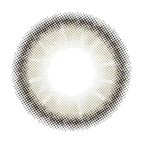 MOLAK 1day 10P Dazzle Gray