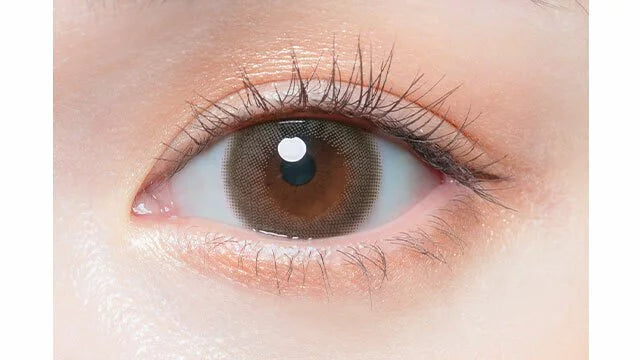 Chu's me 1day 10pc Honey Beige