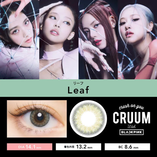 cruum 1day 10P Leaf