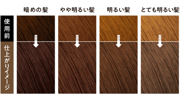 Kao Liese Bubble Color - Royal Brown